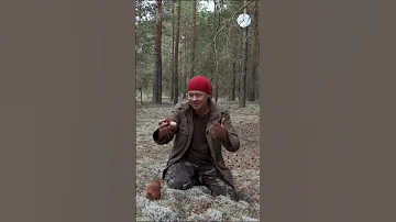 Срезать гриб или выкручивать?