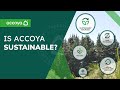 Accoya® wood - sustainable, eco-friendly & FSC certified wood. Accoya® wood - sustainable, eco-friendly & FSC certified wood.