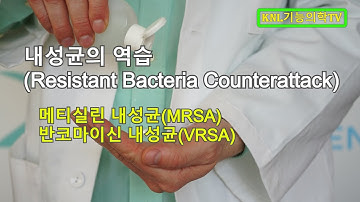 항생제 내성균이 무섭다, 이제는 내성균을 이겨내려면?(Resistant Bacteria Counterattack)-면역계53