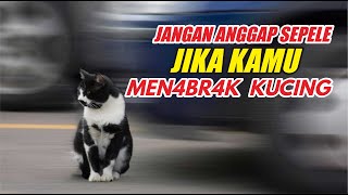 BUKAN MITOS !! HATI - HATI INI ALASAN SEBENARNYA MENGAPA KUCING HARUS DI KUBUR DALAM ISLAM ?