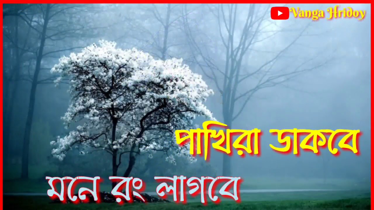 New WhatsApp status 