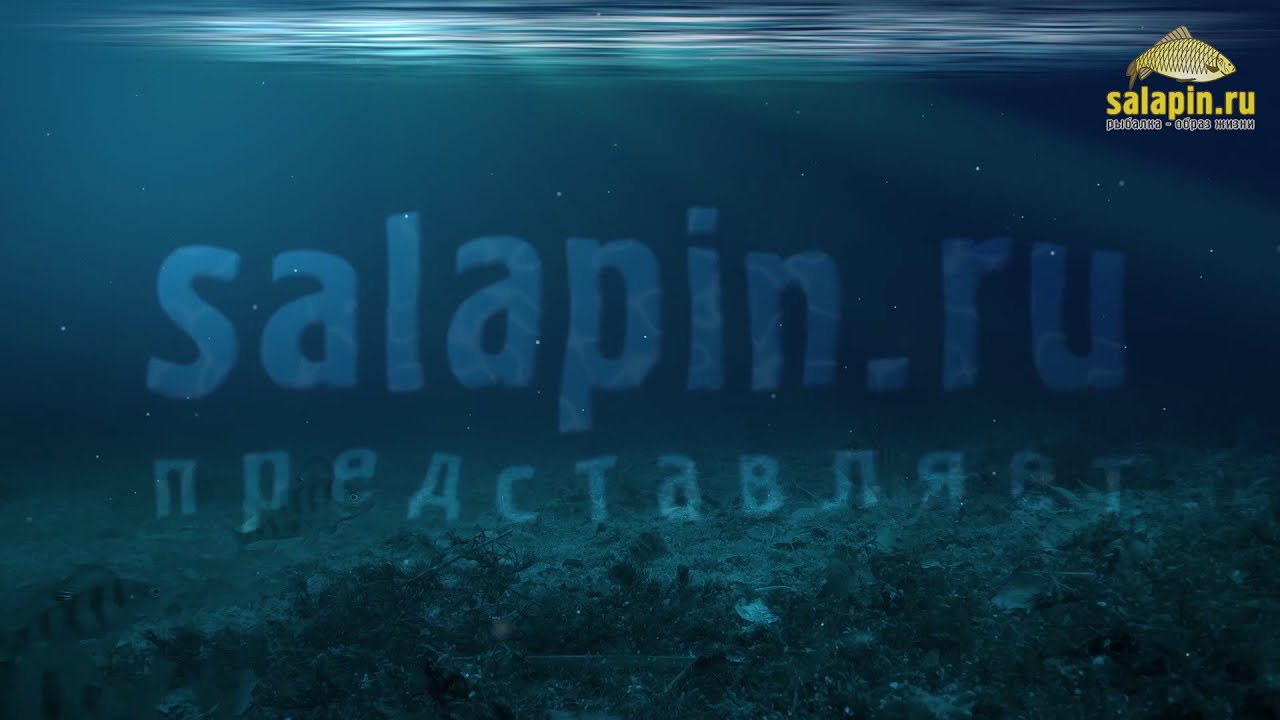 Когда не клюют 130 окуней :) (подводное видео) [salapinru]