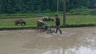 How Vietnamese people do agriculture