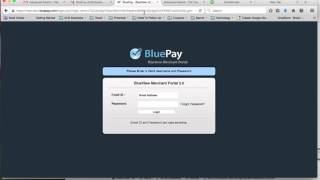 Website and payment processing blue pay screenshot 3