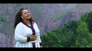 Amsal Mitike / ወይ ወሎ /  Ethiopian Music 2019 (Official Video)