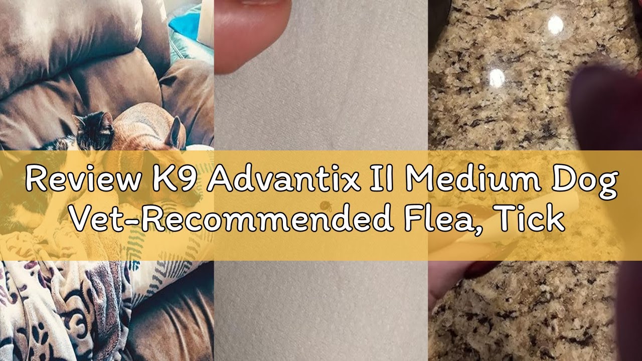 Review K9 Advantix II Medium Dog Vet-Recommended Flea, Tick & Mosquito Treatment & Prevention | Dogs
