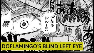 The Mystery Of Doflamingo S Blind Left Eye Theory Youtube