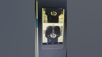 Simple Music Website | HTML CSS JaváScript | Web Development