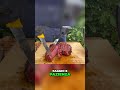 Fiorentina alta 6 cm: cottura lenta + rosolatura finale #bbq