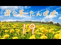 蒲公英ーたんぽぽ/19【歌詞入り】