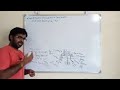 Cultivation of Groundnut | मूंगफली की खेती | Agronomy Lecture | Agriculture RS Rajput