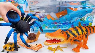 ZURU ROBO ALIVE COLLECTION | UNBOXING RC Giant Terra Spider, New Robo  Crocodile creepers ASMR