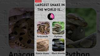 91% Failto answer ??Largest Snake in the World ? viral facts knowledge upsc