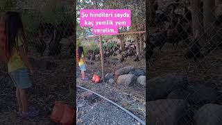 Say Şunları Bakayım .. Resimi