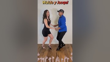 Salsa Man Left Turn | Salsa Bootcamp Online: The Ultimate Beginner