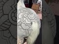 尻尾の毛だけ残す理由