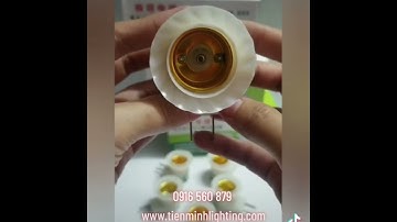 Đui đèn công tắc trắng đui E27, chân ghim phù hợp với mọi ổ cắm, đui e27 thông dụng, tiện lợi