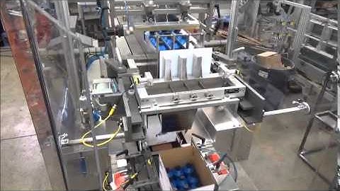 Hamrick Manufacturing - 300 "E" Case Packer (HD)