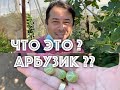 💜ИЗРАИЛЬ💜КОМУ СКУЧНО В ИЗРАИЛЕ ??