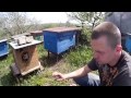 №3 Борьба с пчелами воровками №3 АРЕСТ И УДЕРЖАНИЕ