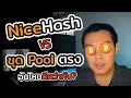 EP.3 ขุด Nicehash กับ ขุดพูลตรง อันไหนดีกว่ากัน | EP.3 แชร์ประสบการณ์ขุดบิทคอยน์ด้วยการ์ดจอ