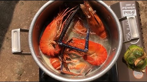 Tôm Càng Xanh Luộc Nước Dừa