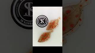 Schuitbaits #shorts #fishing #fish
