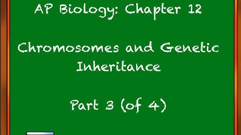 Chapter 12: Chromosomes and Genetic Inheritance (Part 3)