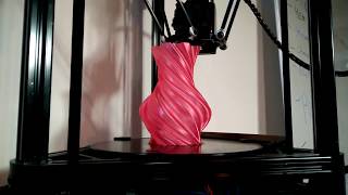 www.3dk.in  -3d Printer in action