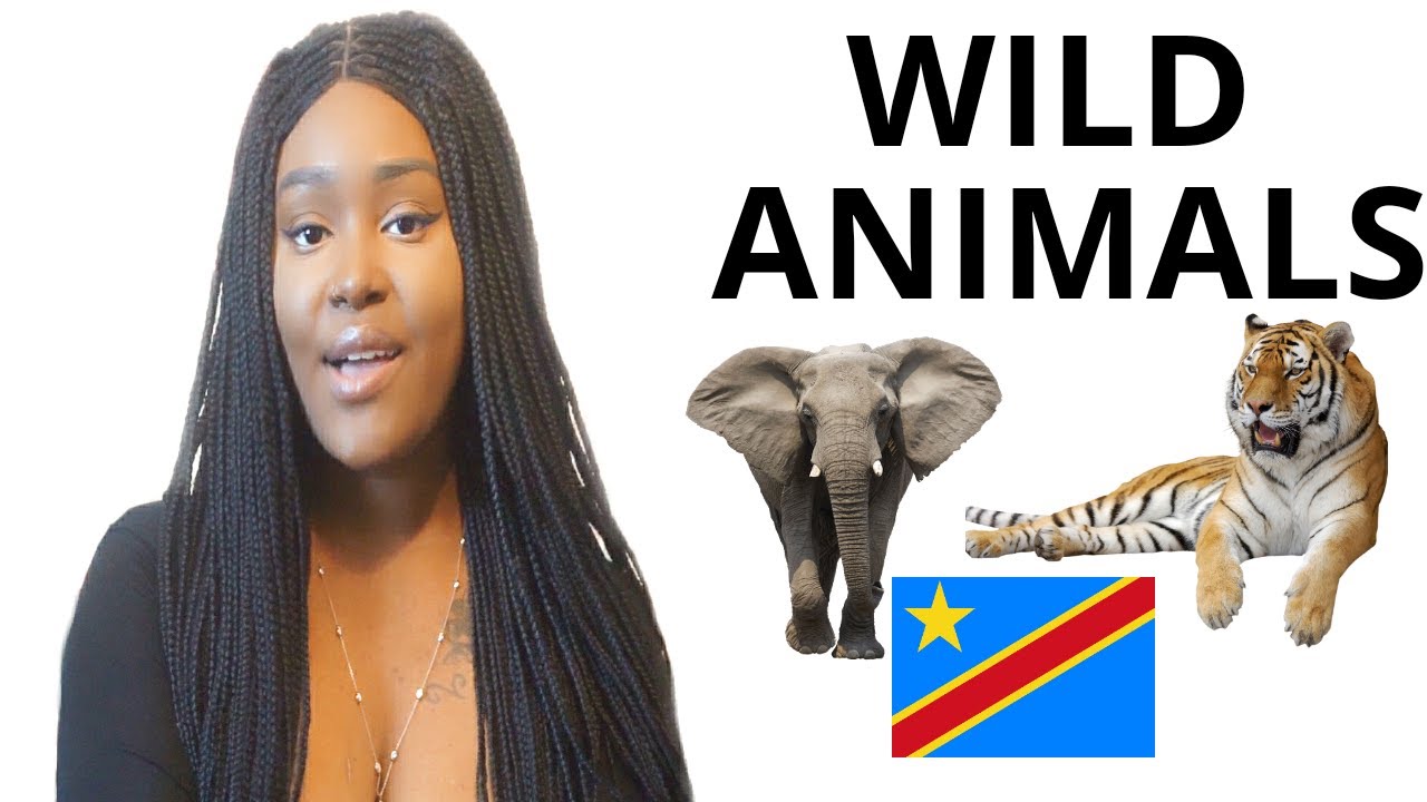 LEARN LINGALA - WILD ANIMALS