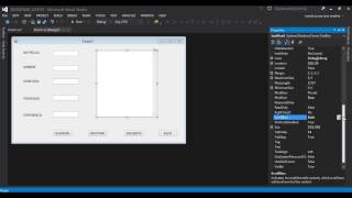 Registrar Datos Microsoft Visual Studio C#   Proyecto Final 2015