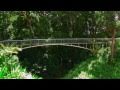 Garden Best Oahu Botanical