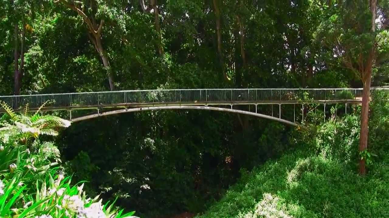 Wahiawa Botanical Gardens Hd Youtube