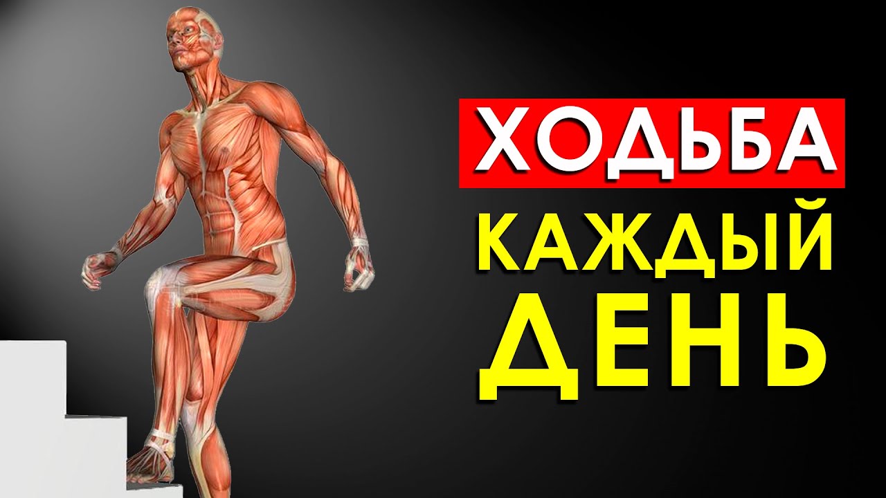 что дает ходьба?