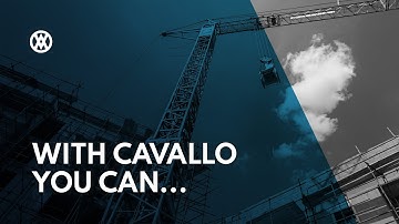 Features for Optimizing Building Supply Businesses / Cavallo
