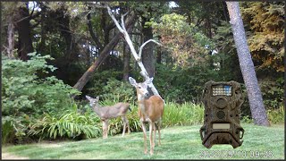 Setting Up A Terra Extreme Trail Camera by iScaper1 20,453 views 1 year ago 3 minutes, 36 seconds
