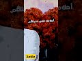 وعد مني تعيش معايا سنين معشتش زيهم