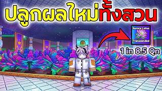 ผมปลูกผลใหม่ Aurora Lotus ทั้งสวน!! ผลหายากที่สุด 1 in 8.5Qn?! | Roblox Build A Ring Farm screenshot 5