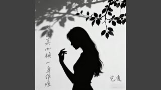 付出真心换一身伤痕 (Dj浩然版)
