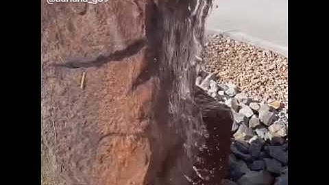 holding a hummingbird in your hand 🙌🙌❤️