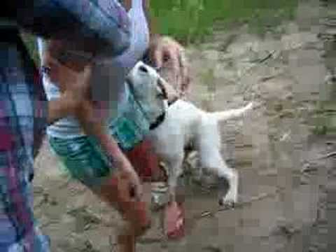 girls leg getting humped - YouTube