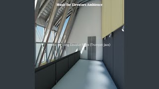 Breathtaking Elevators