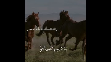 ما تيسر من سورة الشورى بصوت القارئ #مختار_الحاج