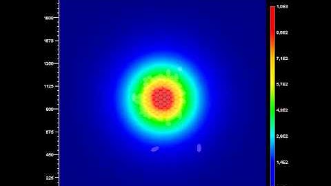 EPISIM - 2D In Silico Chemotaxis