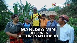 Manusia Mini di Flores Keturunan Hobbit