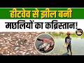 Heatwave ने ली सैकड़ों मछलियों की जान, दिल्ली की Sanjay झील में पर्यावरणीय संकट