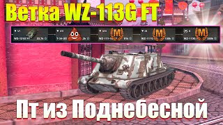 ВЕТКА WZ-113G FT АКТУАЛЬНА ДЛЯ ПРОКАЧКИ? ОБЗОР ВСЕХ ТАНКОВ ВЕТКИ WOT BLITZ