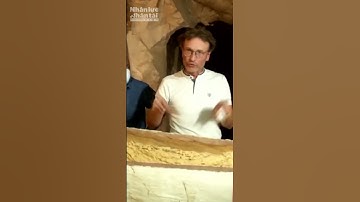 Người Ai cập cổ đại ướp xác bằng nguyên liệu gì #shorts #NgườiAicậpcổđại #khamphaAicap