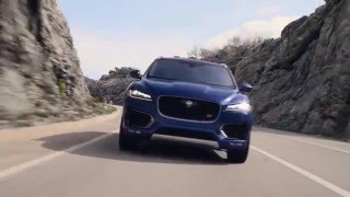 Jaguar F-Pace Review: The F-Types Multi-Talented Cousin