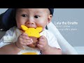 加拿大 Marcus & Marcus 動物樂園感官啟發固齒玩具/固齒器(6款可選) product youtube thumbnail